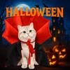 Adjustable Cat Cosplay Cloak Stand-collar Dogs Knight Cape Kitten Puppy Dress  All Saints' Day
