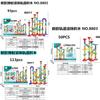 Interaktives Bauspielzeug Transformierbare Kugelbahn Murmelbahn Labyrinth Bauset für Kinder