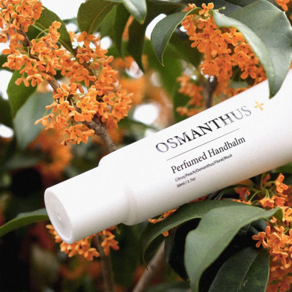 Bellement Geummokseo Hand Cream 50g Geummokseo Hand Cream 50g