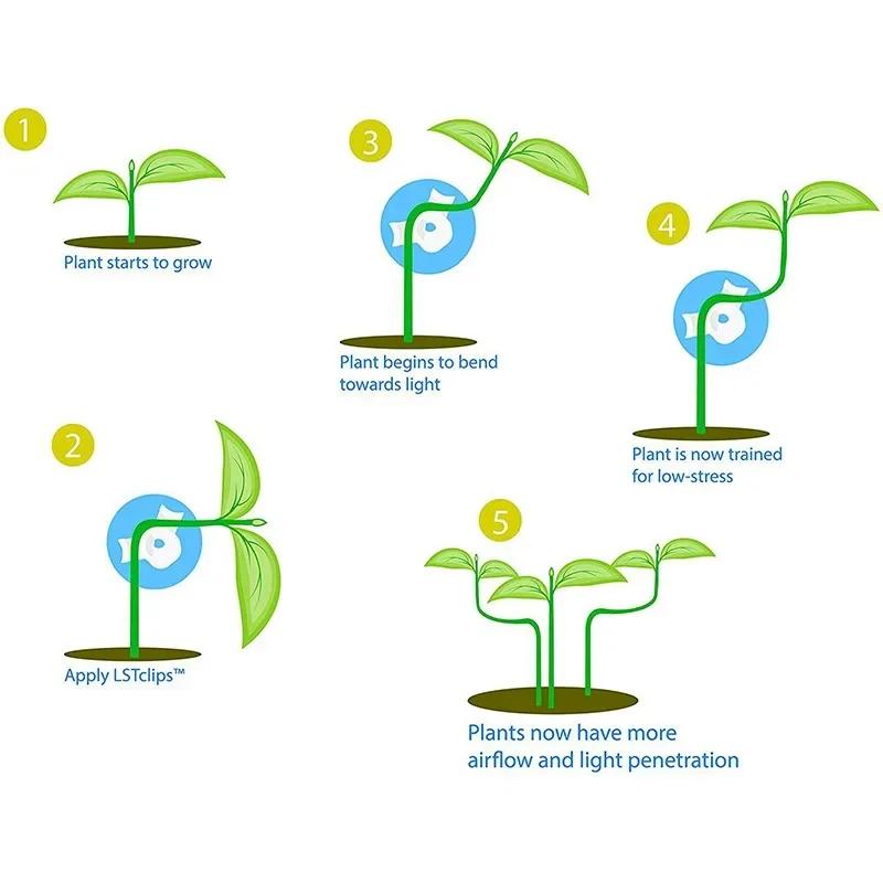 360 Degrees Plant Branch Benders Adjustable Plant Supports Ixed Clips Planter Holder Tools Garden Supplies Plant Bender