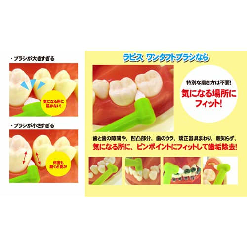 Concours F 100ml L APIS: Dental One-Tufted Brush (Includes 1 Brush) Jointly Developed with Dental Services, Swedish-Style Brushing for Finishing Brush