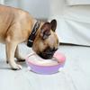 Puppy Kitten Silicone Feeder Soft Puppy Milk Feeder for Feeding Small Pets