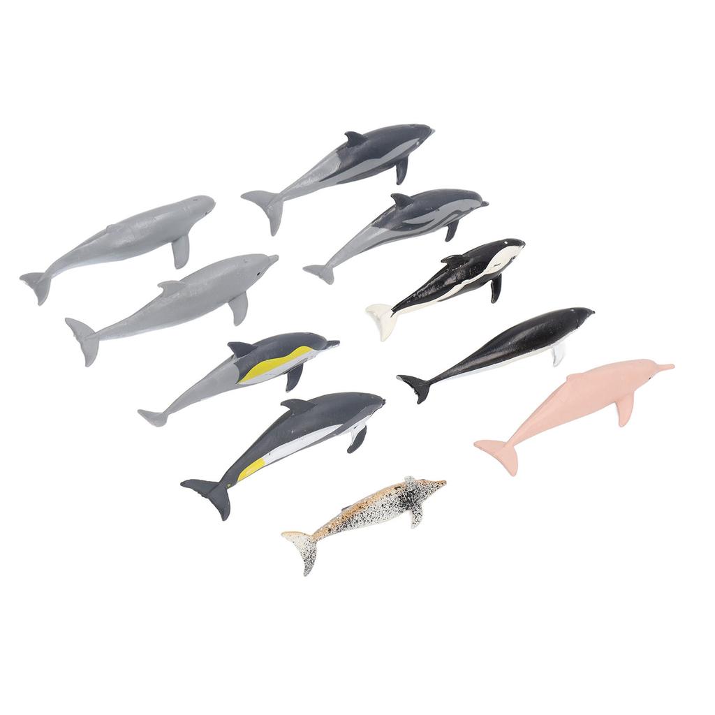10Pcs Dolphin Model Toy Kids' Play Simulation Ocean Animals Figures Static Ornament