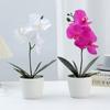 Soft Rubber Simulation Butterfly Orchid Bonsai 4-Heads Phalaenopsis Bonsai  Home Supply