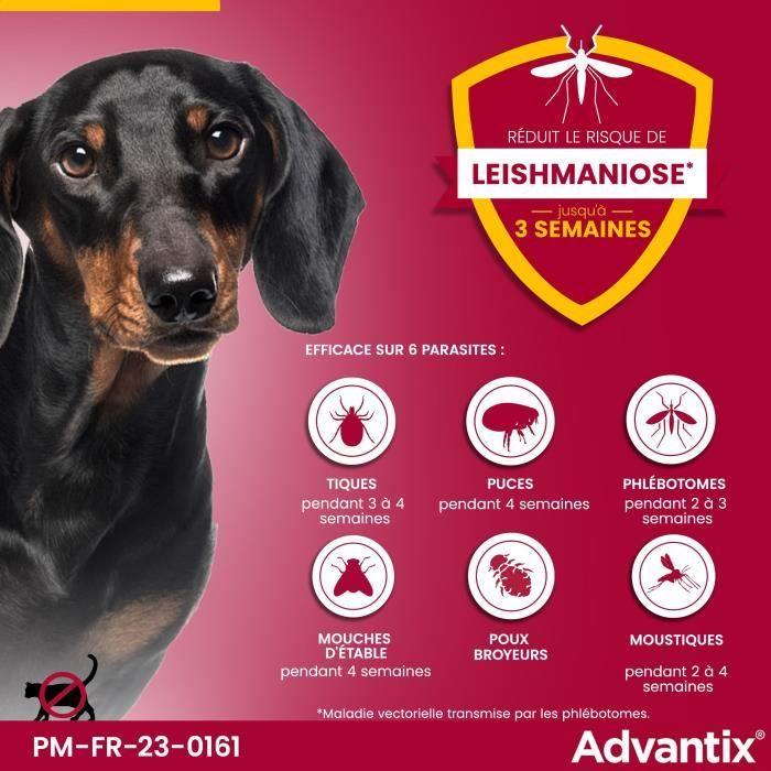 ADVANTIX Chien Solution Antiparasitaire Petite Race 4 à 10kg 4 pipettes