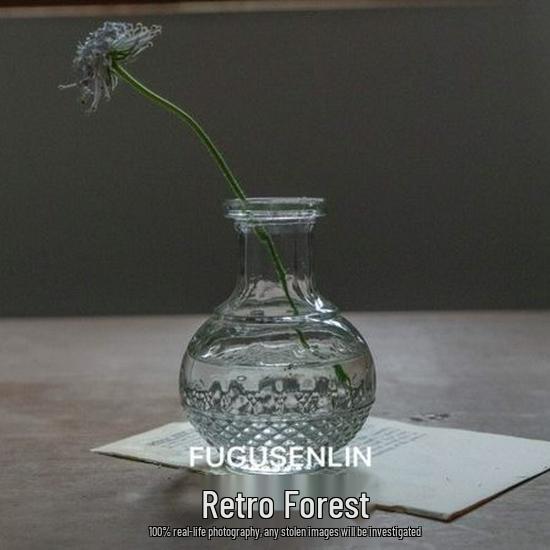 Small French Retro Glass Vase for Flowers and Hydroponics