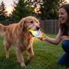 Bite Resistant Dog Glowing Candy Toy Luminous Interactive Dog Toys Squeaky Molar Candy  Small Dog
