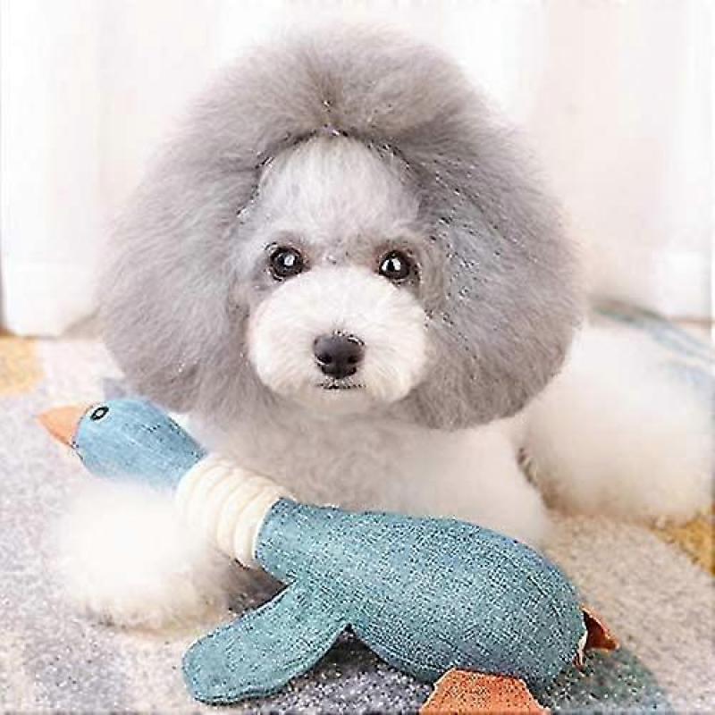 Hundespielzeug für starke aggressive Kauer Unzerstörbar Kleine Rasse Und Quietschende Gans Für Kleine Mittlere Hunde