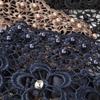 Blumen-Häkel-Stirnband Neuer Stil Perlenbesetztes Breites Rand-Haarband Für Frauen Effektive Weißhaar-Abdeckung Haarschmuck Stirnband
