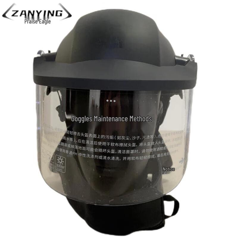 Zanying Carbon Fiber Riot Helmet