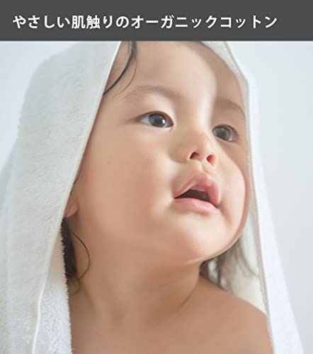 Senshu Towel, Organic Cotton, Handkerchief Towel, Made In Japan, Senshu Towel, Approx. 7.9 X 7.9 Inches (20 X 20 Cm), Quick Drying, Towel Handkerchief