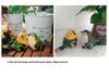 Kreative Harz-Kleintier-Gartendekorationen: Dekorative Vogel-Handarbeiten für den Hof