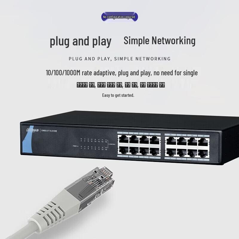 Dahua Gigabit Network Switch CN plug (adapter included)