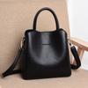 2024 Women's Fashionable Handbag: Large Capacity Tote & Versatile Crossbody