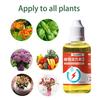 Solução Nutritiva para Plantas 50ml Fertilizante Líquido Promove Enraizamento Propagação Floração de Plantas Potenciador para Propagação em Água e Solo Flores Plantas Frutíferas