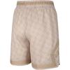 Nike Casual Shorts Men's Khaki HQ8664-104