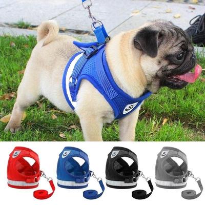 cute harnesses for pugs