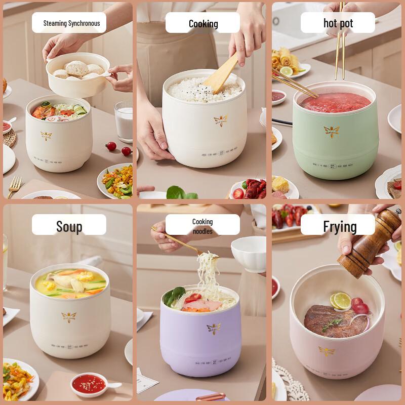 Mini Multi-functional Rice Cooker