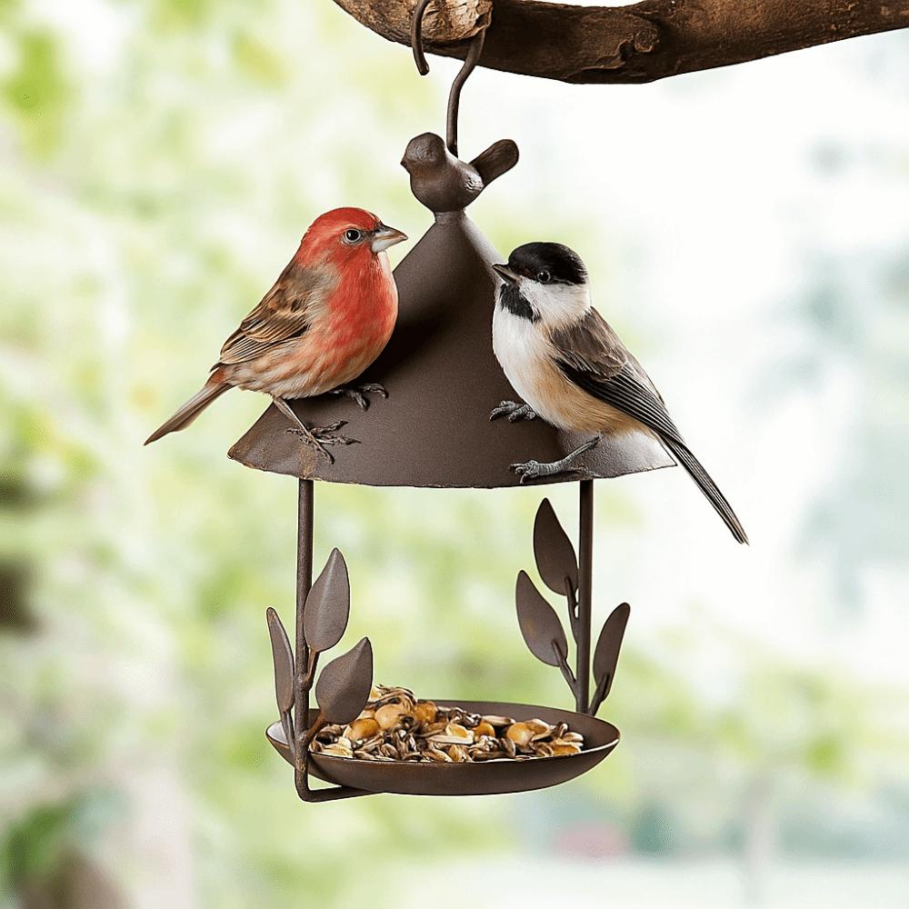 Rainproof Bird Food Dispenser Windproof Bird Feeding Dish Garden Decor Bird Water Bowl Yard