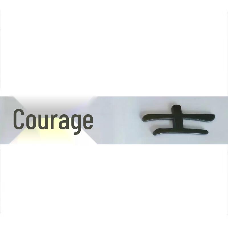 BAIC BJ80 Warrior Car Emblem