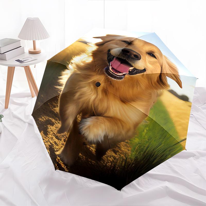Golden Retriever, Wheat Field- Automatic umbrella,Suitable for Men and Women,Suitable for Birthdays, Christmas, Gifts for Fashion Lovers0915b