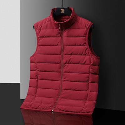 Daunenweste Herren Thermoweste Herren Stehkragen Locker Kurze Weste
