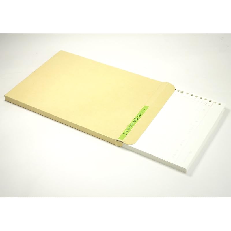 KOKUYO Three-Color Loose-Leaf Paper, B5 Size, Cash Book, 26 Holes, 100 Sheets, RI-101