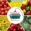 12 Hole Plant Lamp Set with LED Grow Lamp Seedling Tray Set Seedling Starter Tray