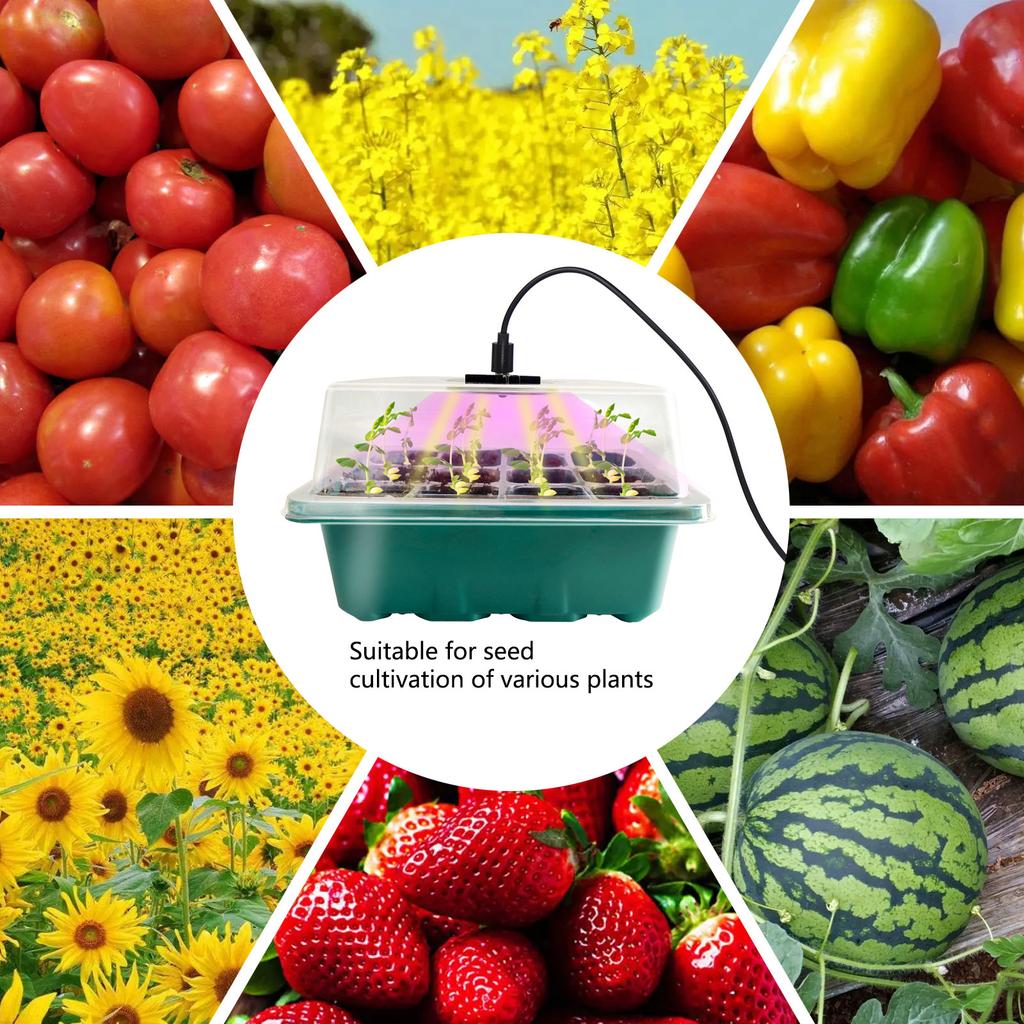 12 Hole Plant Lamp Set with LED Grow Lamp Seedling Tray Set Seedling Starter Tray