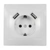 EU Standard Schuko Socket with USB with 2 USB Power Wall Outlet Wall Socket  Hotel Installation