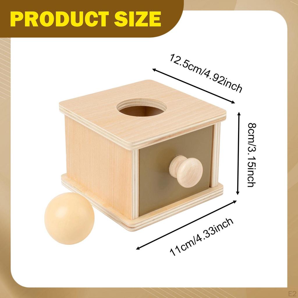 Wooden Ball Drop Toy Learning Education Problem Solving Object Permanence Box with for