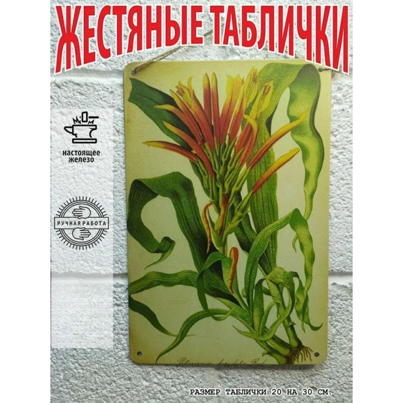 

Botanical Tin Sign, Nature Wall Art Metal Poster