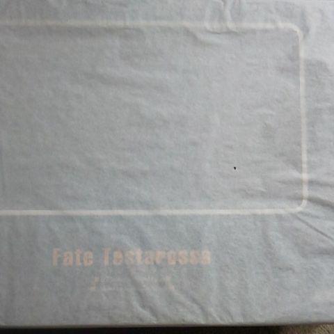 

[USED] Alter Magical Girl Lyrical Nanoha A s Fate Testarossa Figure