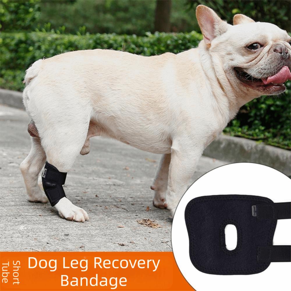 Updated Protects Bandage Dog Protector Cover Dog Leg Support Dogs Hock Joint Brace Pet Knee Pads Dogs Injury Recovery
