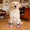 Anti Licking Dog Shoes Socks Adjustable Dog Foot Covers Anti-Slip Dog Socks  Anti-Scratch