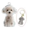 1 Piece Bag Pendant Dog Hair Storage Cute Keychain Jewelry Souvenir Collection Gift Couple Car Key Chains Decoration Accessories