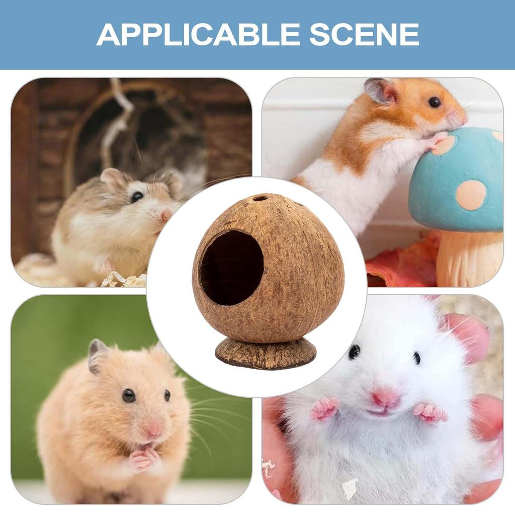 Safe Hamster Hideout Hut Pet Chew Toy Semi-closed Guinea-pig Nest Small Pet Coconut Cages Toy for Hedgehog Gerbil