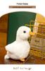 Little Duck Plush Toy - Early Education Doll & Birthday Gift