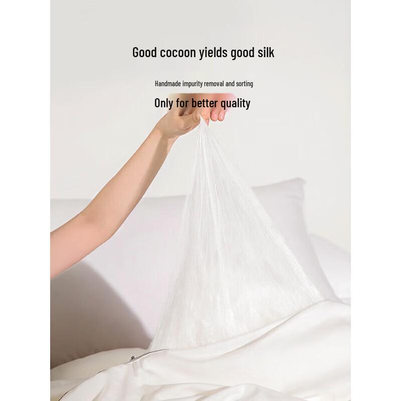 SILKUEEN Mulberry Silk All-Season Quilt