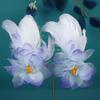 New Antique Original Design Handmade Silk Yarn Hot Flower Hair Accessories Super Fairy Feather Hairpin Hanfu Headdress