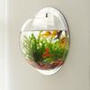 Wall Mounted Flowerpot Hydroponic Wall Mounted Fish Tank Wall Decoration