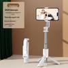 Bluetooth Selfie Stick with Fill Light and Portable Tripod Stand