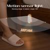 LED Smart Motion Sensor Night Light, Toilet Seat Lights, USB Rechargeable 8Color Lamp for Summer Corridor WC Camping Home Decor