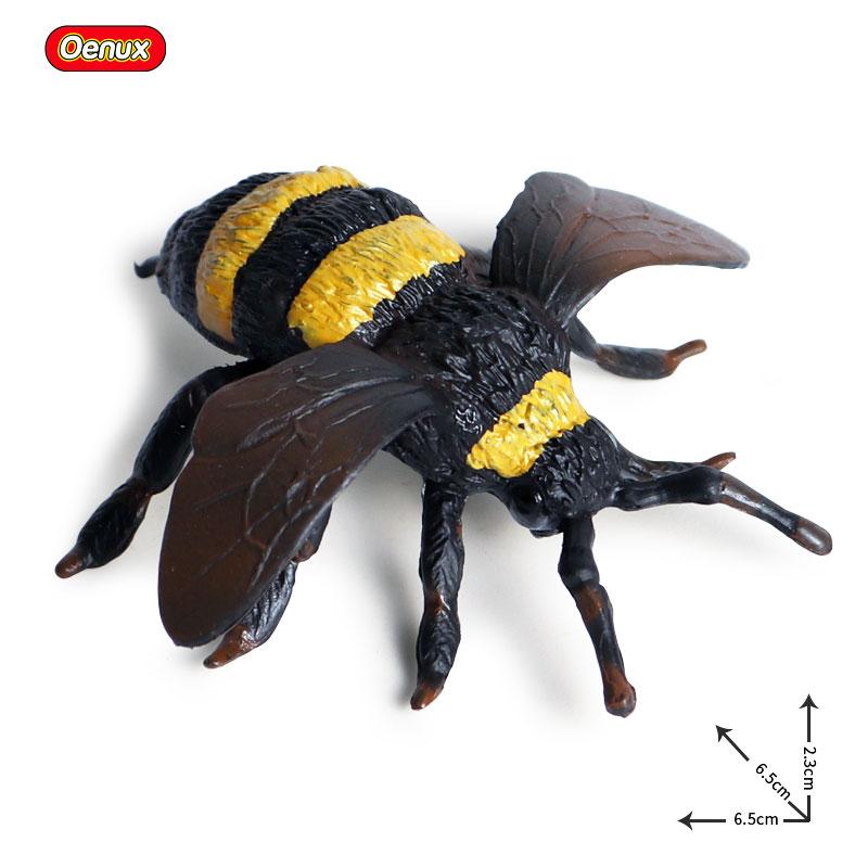 Oenux Wild Insect Animals Model Mantis Grasshopper Butterfly Bee Beetle Action Figures PVC Science Education Collection Kid Toy