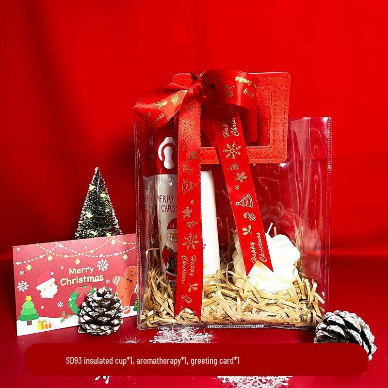 Christmas Stainless Steel Portable Tumbler Gift Set