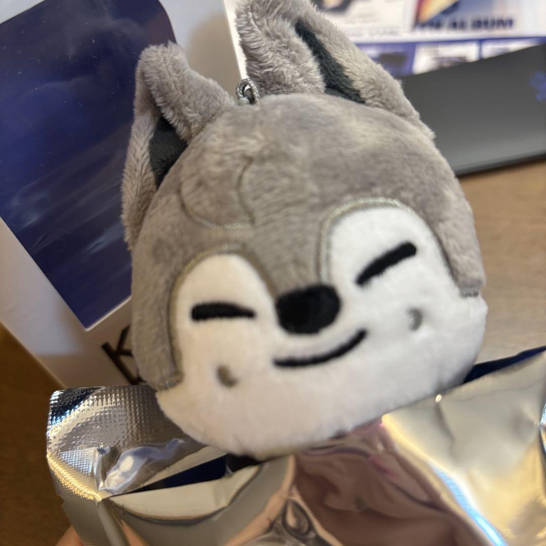 

[Б/У] KARMA SKZOO вер.