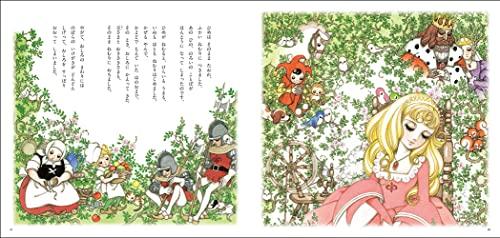 Makoto Takahashi's Princess Story