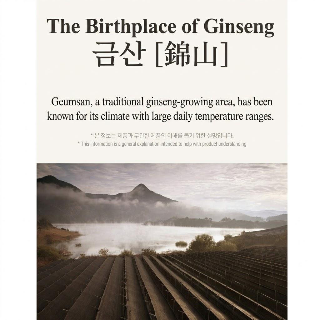 [Jungwon Sam] 6-Year-Old Korean Red Ginseng Extract 365 Stick (1kg/10g x 100sticks),Korean health food