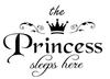 Daria toy box - Princess