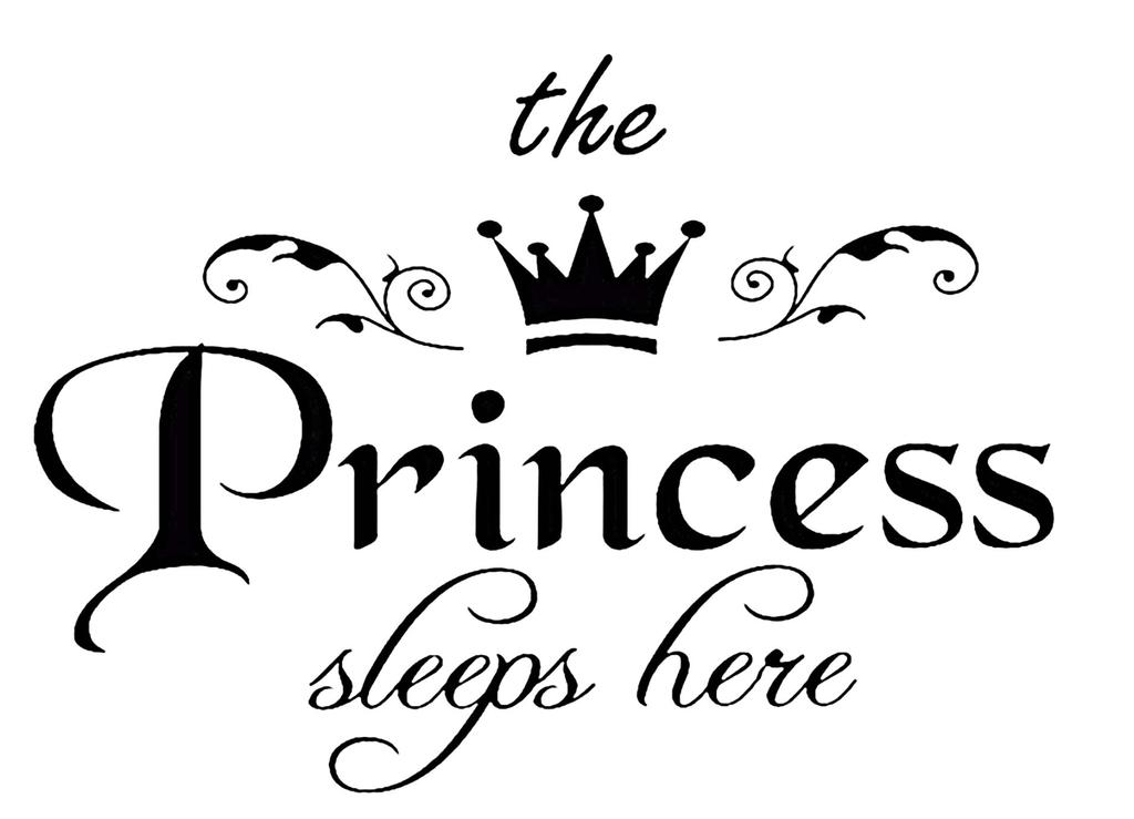 Daria toy box - Princess